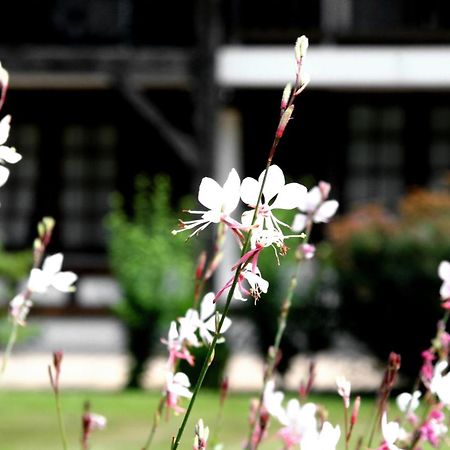 Auberge Des Pins - Teritoria Sabres Buitenkant foto